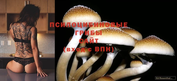круглые Балахна